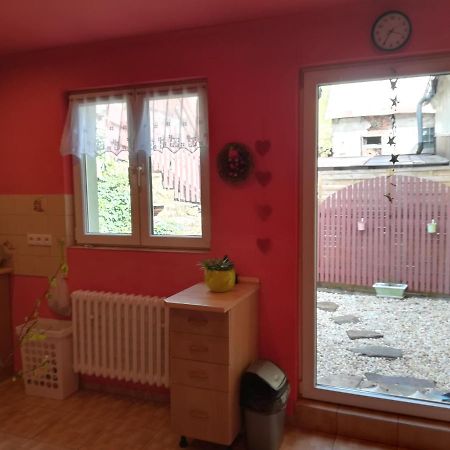 Prazdninovy Byt Arin Apartment Jachymov Luaran gambar