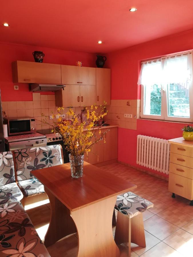 Prazdninovy Byt Arin Apartment Jachymov Luaran gambar