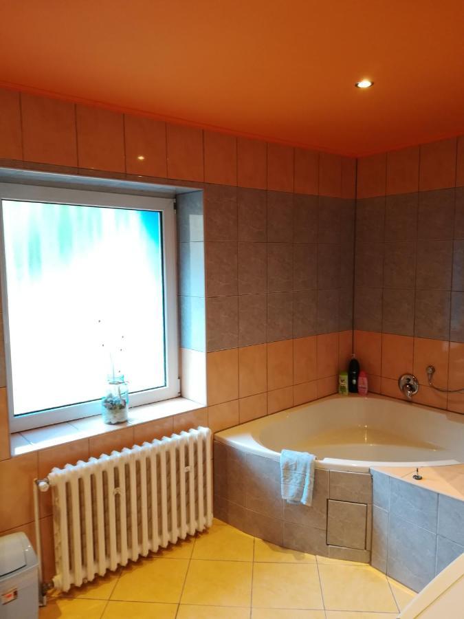 Prazdninovy Byt Arin Apartment Jachymov Luaran gambar
