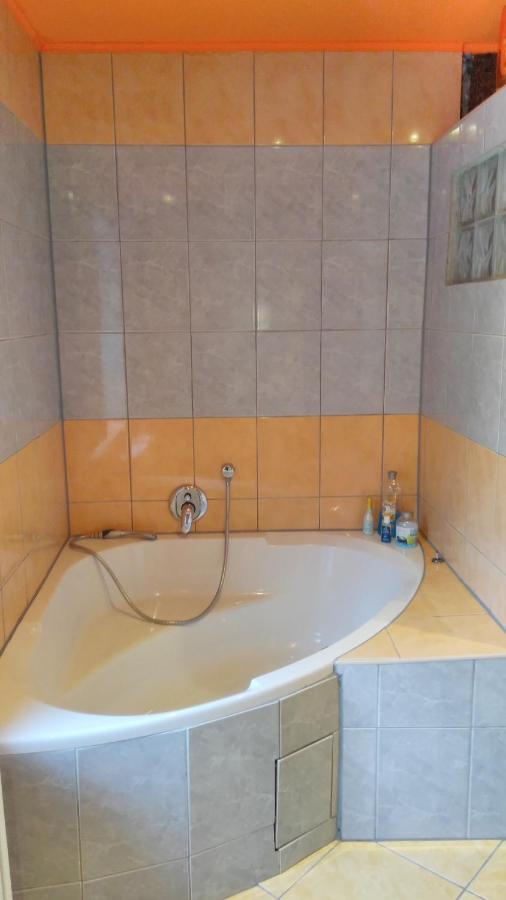 Prazdninovy Byt Arin Apartment Jachymov Luaran gambar